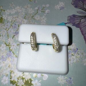Gold Moissanite Huggie Hoop Earrings